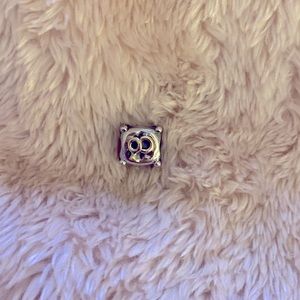 Pandora Charm. Wedding bands with gold detail.